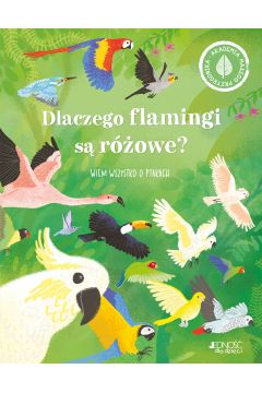 Dlaczego flamingi są różowe? Wiem wszystko o ptakach
