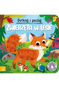 Zwierzęta w lesie Dotknij i poczuj