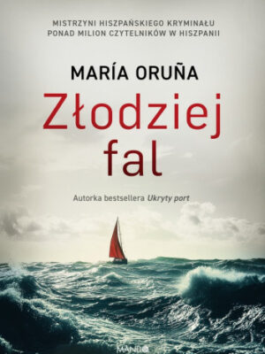 Złodziej fal
